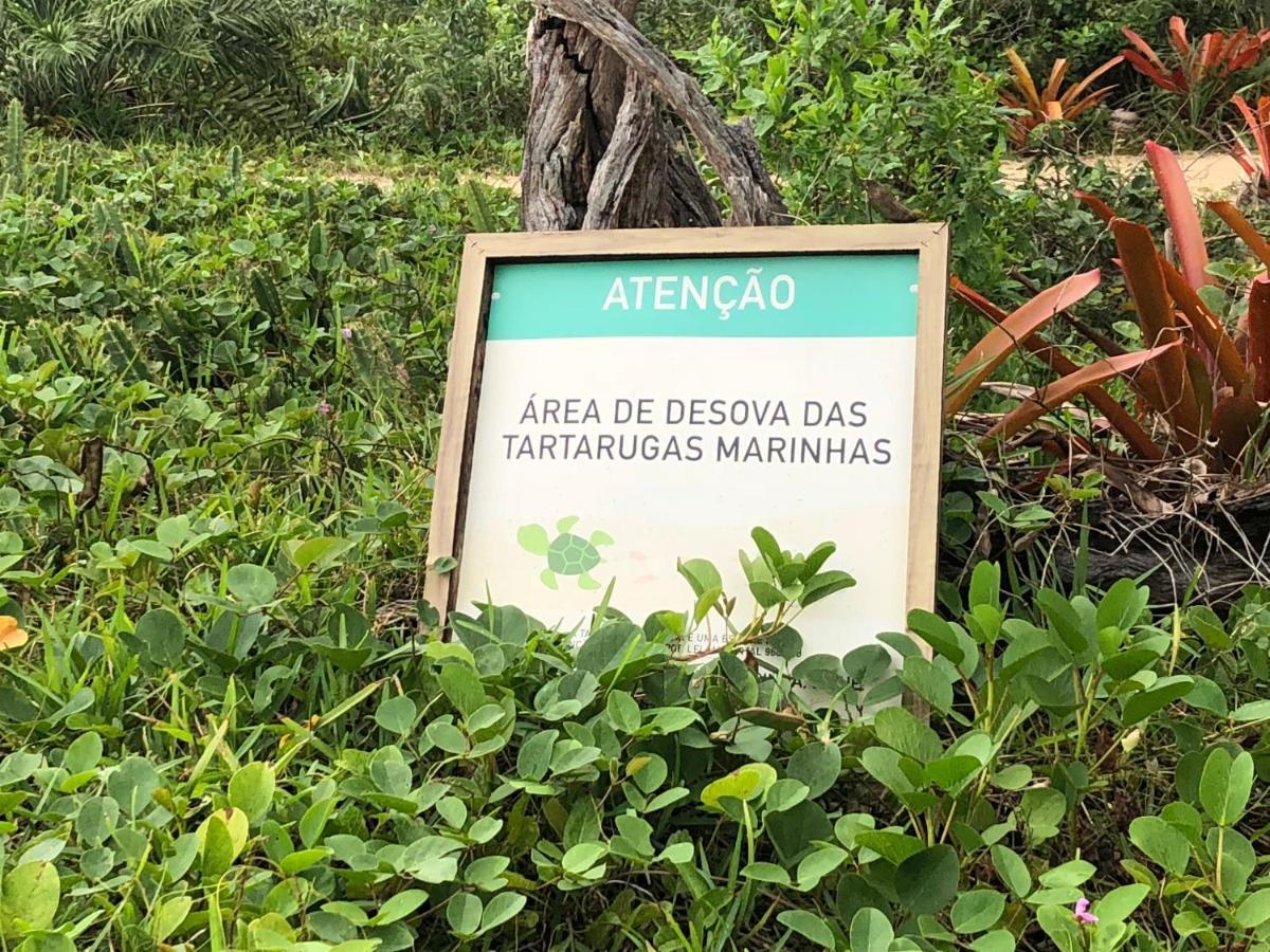 Victor Hugo Pousada Com Natura E L'Occitane Santo André Exteriör bild