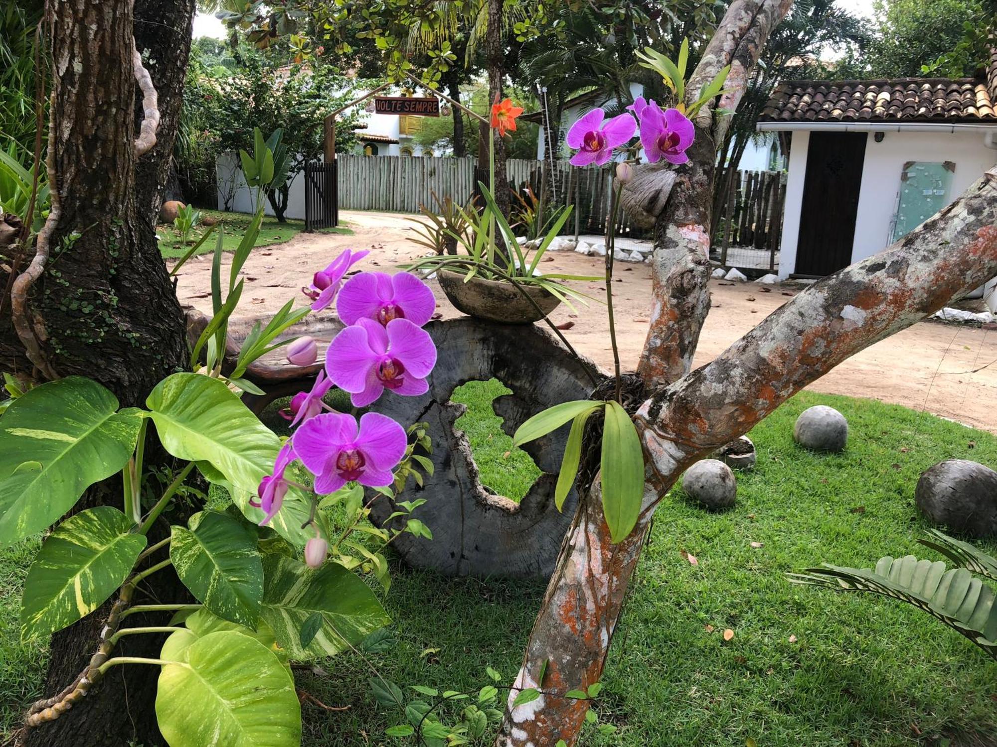 Victor Hugo Pousada Com Natura E L'Occitane Santo André Exteriör bild